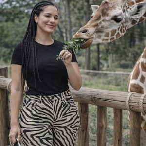 Current/Elliott Zebra Print High Waist Skinny Jeans Size 26 New